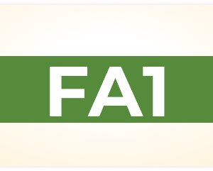 Recording Financial Transactions (FA3)